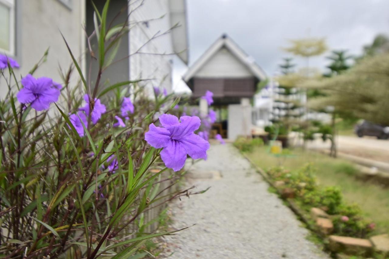 D'Ja Smoke Homestay Kampong Wakaf Tengah エクステリア 写真