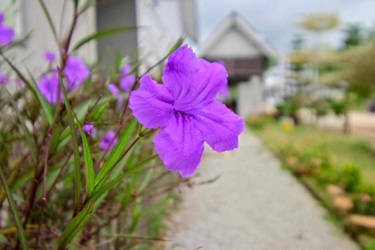 D'Ja Smoke Homestay Kampong Wakaf Tengah エクステリア 写真